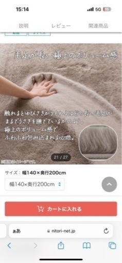 ニトリ　ラグ　定価24990円