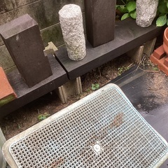 枕木　大小