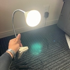 家具 照明器具