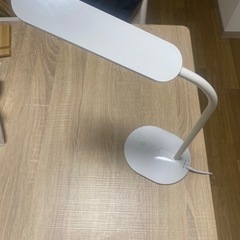 家具 照明器具