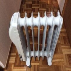 フィリップス1000EXの画像