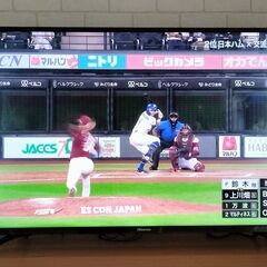 Hisense ハイセンス 43型 4K対応液晶テレビ 43F68E
