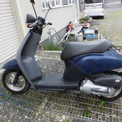 TODAY　50cc　ホンダ　現在登録中で名義変更ですぐに乗れます
