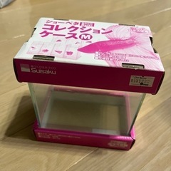 ガラス水槽　ミニ