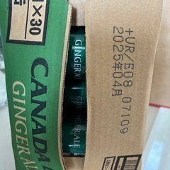 ジンジャーエール250ml x 30缶 