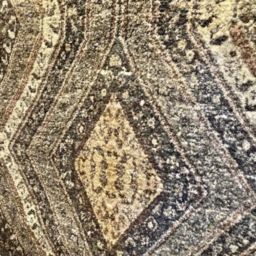 《売約済》Acme Furniture  アクメ  ラグ 　絨毯　カーペット　BRENTWOOD RUG　おしゃれ　インド産　ブレントウッド　Acme  studio