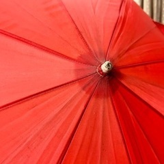 キティーちゃんの子供用傘の画像