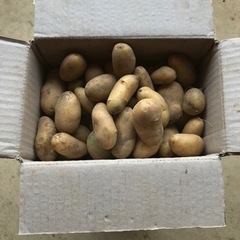 新じゃが（1kg）男爵、メークイン、北あかり食品の画像