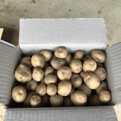 新じゃが（1kg）男爵、メークイン、北あかり食品の画像