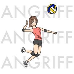男女混合バレーの参加者募集！（6/26: 19:00-22:00） - スポーツ