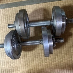 ダンベル10kgの画像