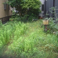 生活雑貨 家庭用品 ガーデニング