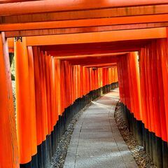 関西はいきんぐさーくるで歩いてみませんか？【20代～50代】 - 友達