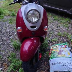 バイク ヤマハ　ビーノの画像