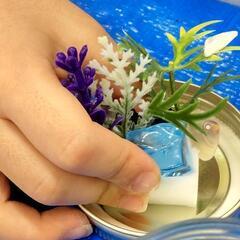 なんちゃってアクアリウム2024(子ども)の画像