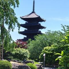 タロット占い&人生相談