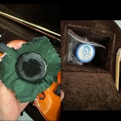 バイオリンの画像