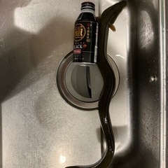 天然うなぎの画像