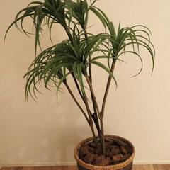 観葉植物 造花