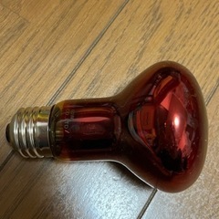 爬虫類　ヒートグロー　
保温ライト　60W