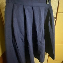 ⑤秋スカート(ネイビー？)