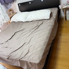 決まりました！！