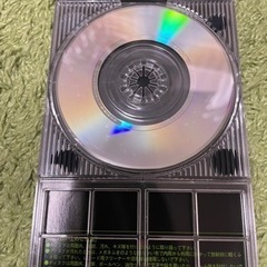 globe/Wanderin'Destinyの画像