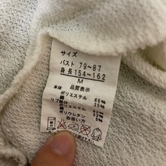 薄手トレーナーの画像