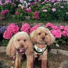 堅っ苦しいことなしで！