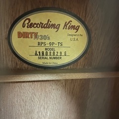 アコギ　ギター　Recording King RPS-9P-TSの画像