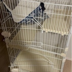 ペット用品
