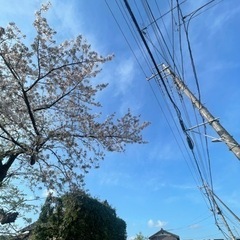 気の合う友達欲しい