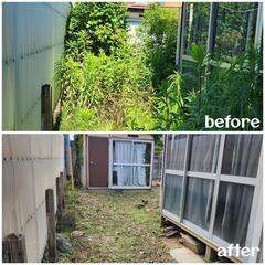 常陸太田市 草刈りやります