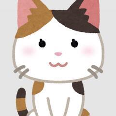 野良猫ちゃんが大量発生!!
