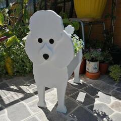 トイプードル プランター 小物入れ
