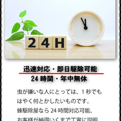 ハチの巣を即日撃退！安心の専門業者 - 草津市