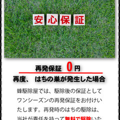 ハチの巣を即日撃退！安心の専門業者 - 害虫/害獣駆除