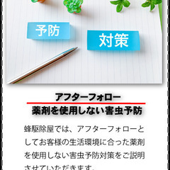 ハチの巣を即日撃退！安心の専門業者 − 滋賀県