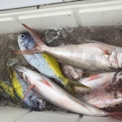 一緒に海釣り行きませんか？ - 友達