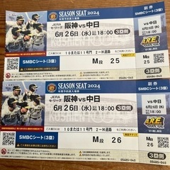 チケット テーマパーク/遊園地