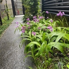 ゲストハウス　清掃/運営スタッフ募集中 時給1,500円可能。の画像