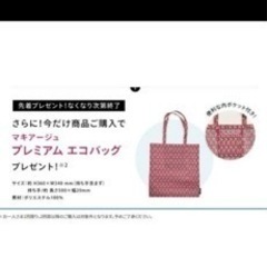 新品未使用♪
折りたたみ傘、エコバッグの画像