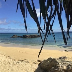７月７日(日)人気恩納村ビーチ🤿行きませんか？？