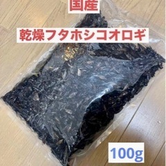 国産養殖　乾燥フタホシコオロギ　100g