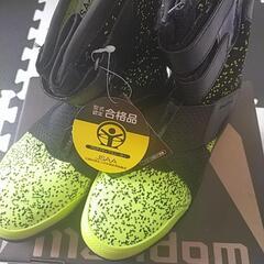 新品未使用　安全靴　mandom 25.0cmの画像
