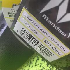 新品未使用　安全靴　mandom 25.0cmの画像