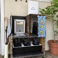 メダカ　改良メダカ　無人　販売　所沢　小手指