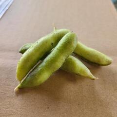 農家がつくるっ‼️美味しい枝豆(無選別)