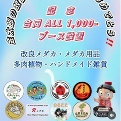 道の駅足柄　金太郎のふるさと　4周年記念　メダカ販売 - 南足柄市