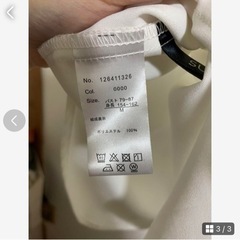 Mサイズ　シアーシャツの画像